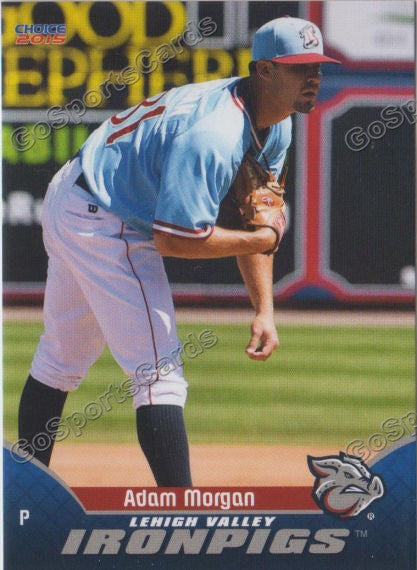2015 Lehigh Valley IronPigs Adam Morgan 1st