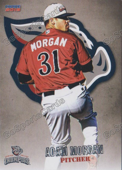 2015 Lehigh Valley IronPigs Adam Morgan 2nd