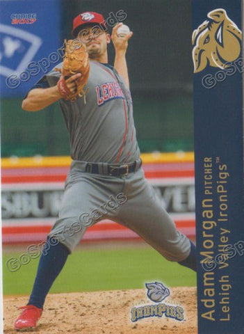 2017 Lehigh Valley IronPigs Adam Morgan