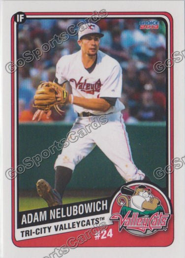 2013 Tri City ValleyCats Update Adam Nelubowich