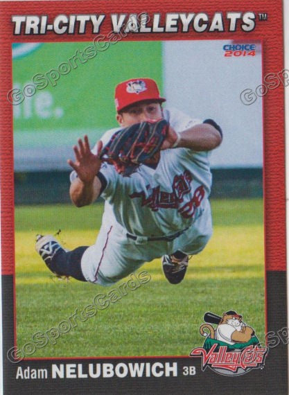 2014 Tri City ValleyCats Adam Nelubowich