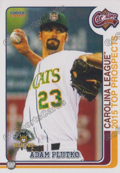 2015 Carolina League Top Prospect Adam Plutko