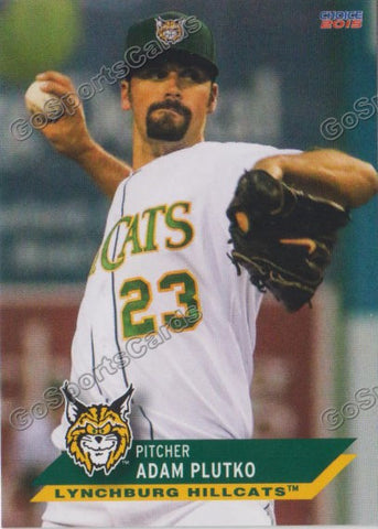 2015 Lynchburg Hillcats Adam Plutko