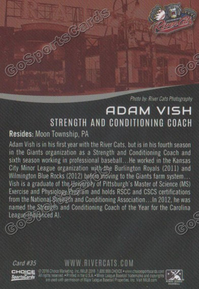 2016 Sacramento River Cats Adam Vish Back of Card