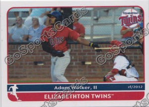 2012 Elizabethton Twins Adam Brett Walker II