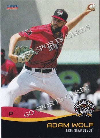 2023 Erie SeaWolves Adam Wolf