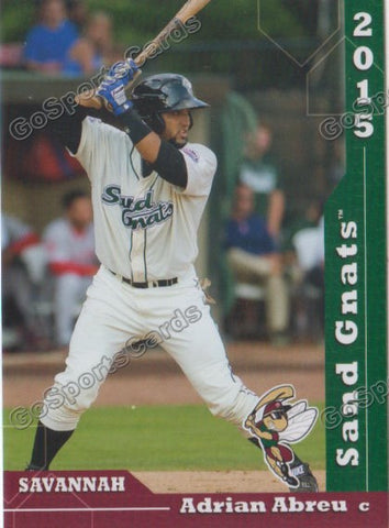2015 Savannah Sand Gnats Adrian Abreu