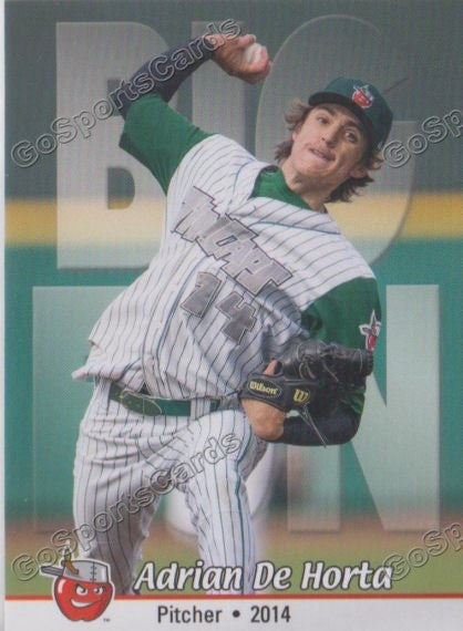 2014 Fort Wayne TinCaps Adrian De Horta