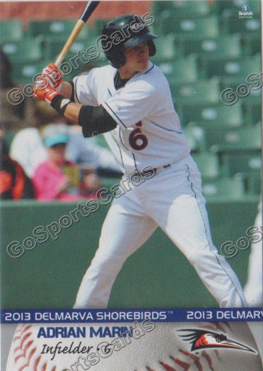 2013 Delmarva Shorebirds Adrian Marin