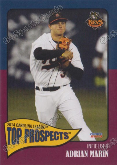 2014 Carolina League Top Prospect Adrian Marin