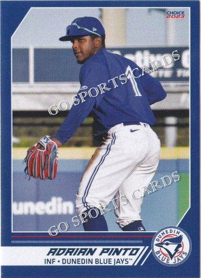 2023 Dunedin Blue Jays Adrian Pinto