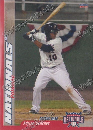 2013 Potomac Nationals Adrian Sanchez