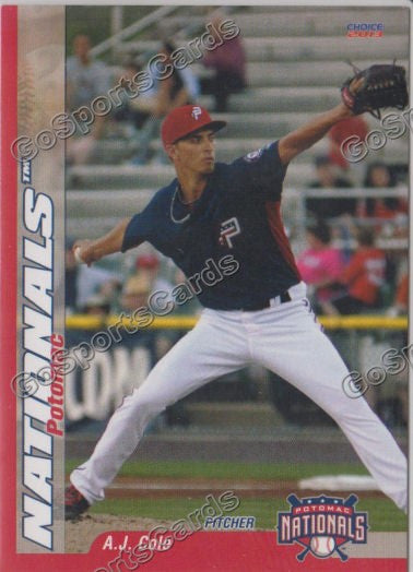 2013 Potomac Nationals AJ Cole