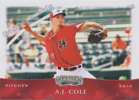 2014 Harrisburg Senators AJ Cole