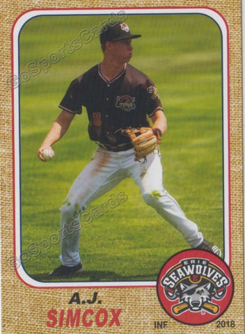 2018 Erie SeaWolves AJ Simcox