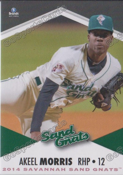 2014 Savannah Sand Gnats Akeel Morris