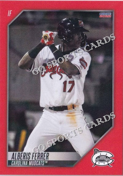 2022 Carolina Mudcats Alberis Ferrer