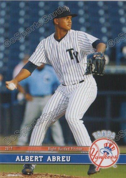2017 Tampa Yankees Albert Abreu