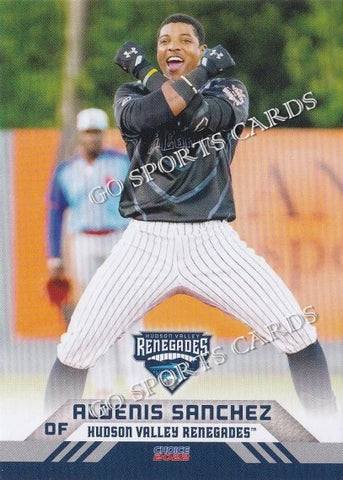 2022 Hudson Valley Renegades Aldenis Sanchez