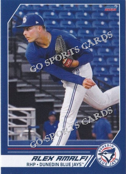 2023 Dunedin Blue Jays Alex Amalfi