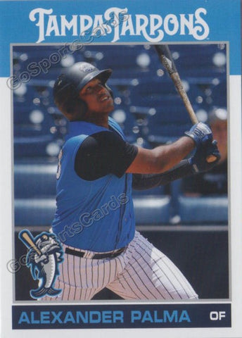 2018 Tampa Tarpons Alexander Palma