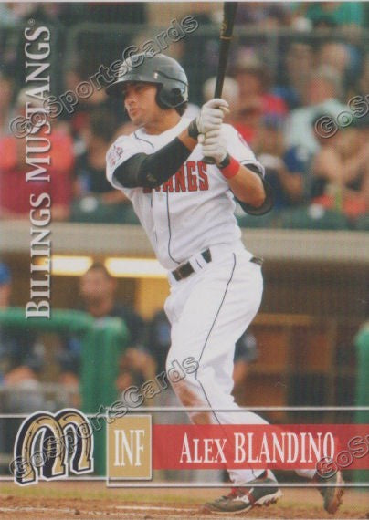 2014 Billings Mustangs Alex Blandino