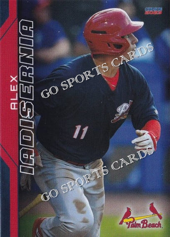 2023 Palm Beach Cardinals Alex Iadisernia