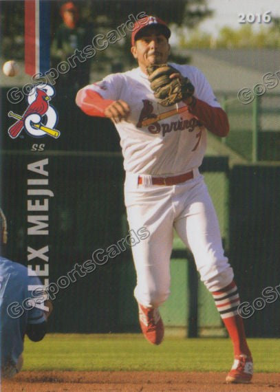 2016 Springfield Cardinals Alex Mejia