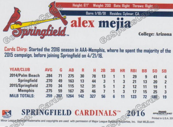 2016 Springfield Cardinals Alex Mejia Back of Card
