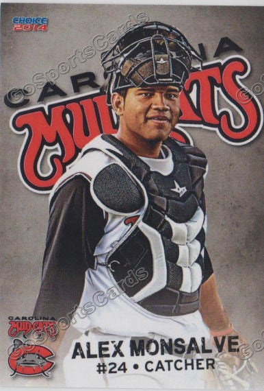 2014 Carolina Mudcats Alex Monsalve