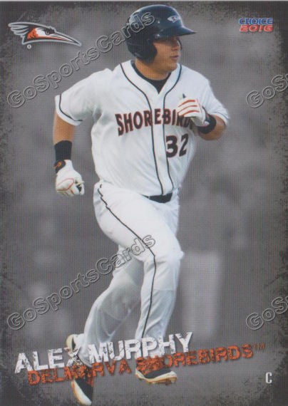 2016 Delmarva Shorebirds Alex Murphy