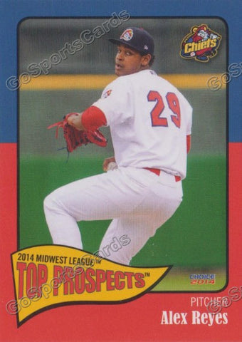 2014 MidWest League Top Prospect Alex Reyes