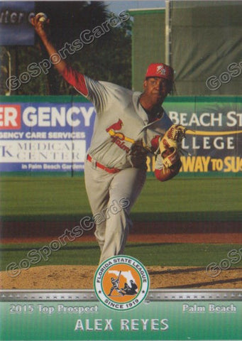 2015 Florida State League Top Prospect Alex Reyes
