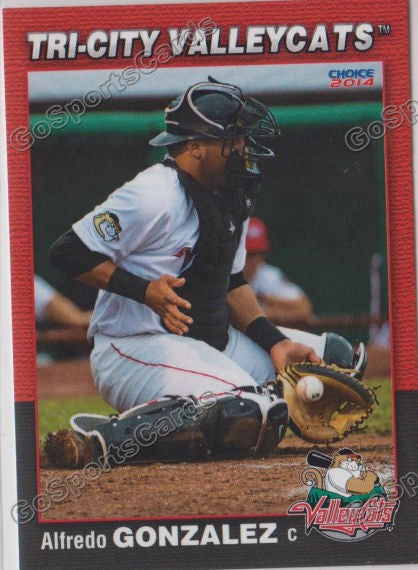 2014 Tri City ValleyCats Alfredo Gonzalez