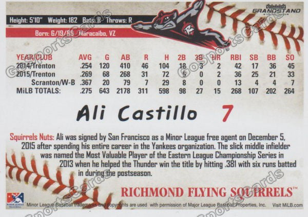 2016 Richmond Flying Squirrels Ali Castillo Back of Card