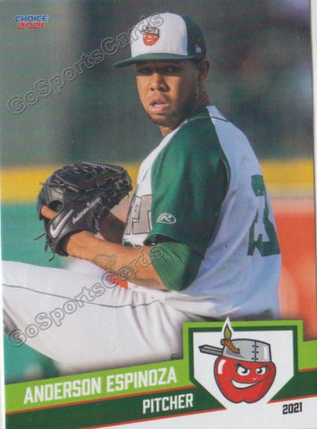 2021 Fort Wayne TinCaps Anderson Espinoza