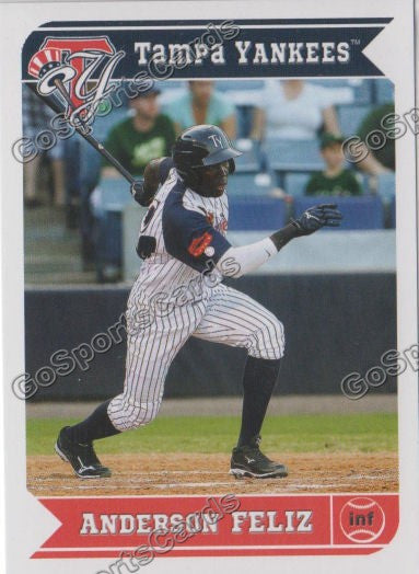 2013 Tampa Yankees Anderson Feliz