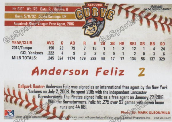 2016 Altoona Curve Anderson Feliz Back of Card