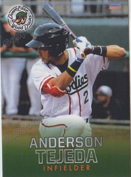 2018 Down East Wood Ducks Anderson Tejeda