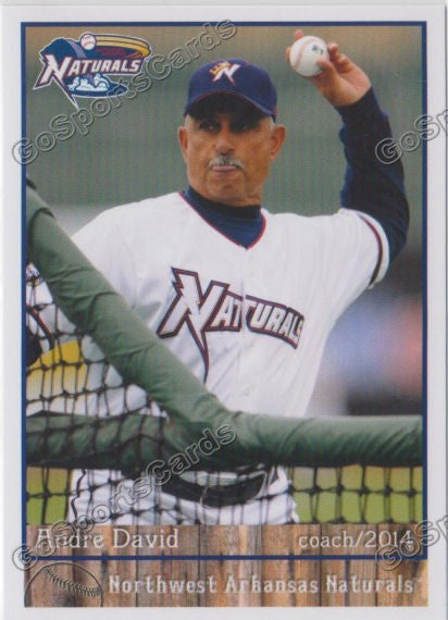 2014 Northwest Arkansas Naturals Andre David