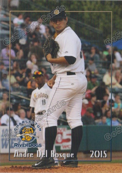 2015 Charleston Riverdogs Andre Del Bosque