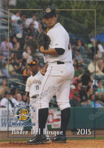 2015 Charleston Riverdogs Andre Del Bosque