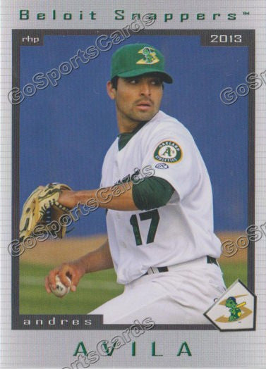 2013 Beloit Snappers Andres Avila