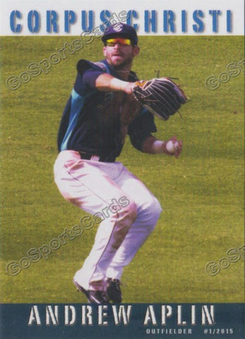 2015 Corpus Christi Hooks Andrew Aplin
