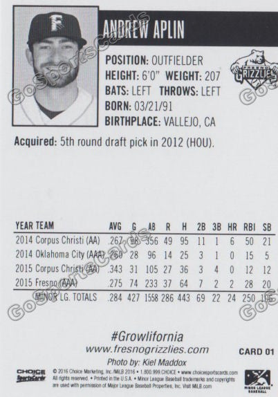 2016 Fresno Grizzlies Andrew Aplin Back of Card