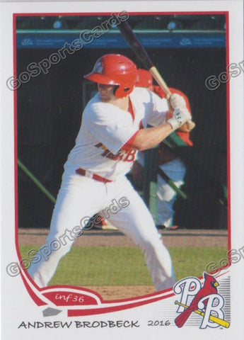 2016 Palm Beach Cardinals Andrew Brodbeck