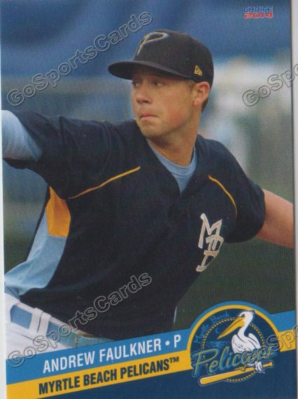 2014 Myrtle Beach Pelicans Andrew Faulkner