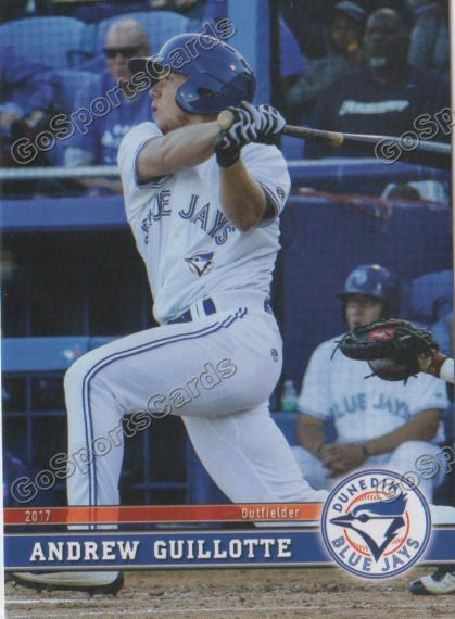 2017 Dunedin Blue Jays Andrew Guillotte