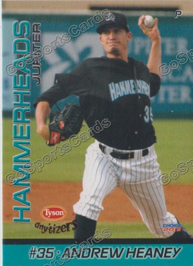 2013 Jupiter Hammerheads Andrew Heaney
