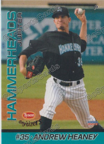 2013 Jupiter Hammerheads Andrew Heaney